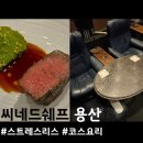 씨네드쉐프 용산 CGV 아이파크몰, 스트레스리스 시네마 가격/주차 후기: 기념일 강추