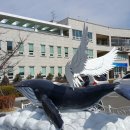 장생포고래박물관 이미지