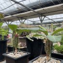 은월농장 이미지