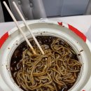 몽고반점 이미지