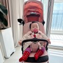 더 클라씨 헤어 | 시크 클라씨 휴대용유모차 9개월 아기 태워본 솔직후기 (사랑스러운 딸기우유색🩷)