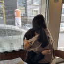 카페브로 네이버블로그