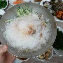 감포물회