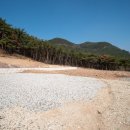 그곳 팬션 민박 이미지