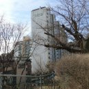 큰집약국 이미지