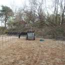 진섭농장 이미지