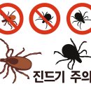 대구 수성구 매트리스 집 먼지 진드기 청소 후기