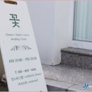 셀라비플라워 이미지