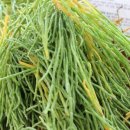 언양공설시장 이미지