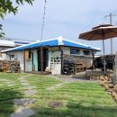 빈도롱이 이미지