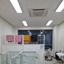 꼬맹이그루밍 이미지