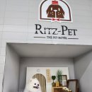 리츠펫 동탄능동점 이미지