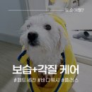 강아지 샴푸 추천! 페토세라 바디워시 플러스로 피부 보습+각질 케어 완벽 후기
