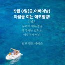 에코건강