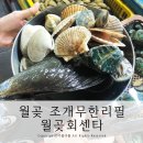 월곶회센타 이미지