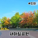 새아침공원(테니스장 옆) | 새아침공원 송도 걷기 좋은 참느릅나무 산책길