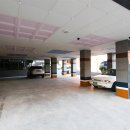 강구신대교 이미지