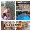 양평 캠핑장 추천 청운오토캠핑장 조용하고 깨끗한 휴식 공간
