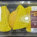 동우인터내셔널 이미지