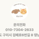 댕냥구리 강아지분양 고양이분양 구리본점 이미지