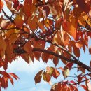 세종회관 이미지