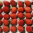 계백농장 이미지