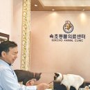 속초동물의료센터 이미지