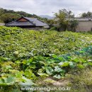 [계약스토리] 경북 경주 옥산리 전원주택 계약스토리 by 미건하우징 이미지