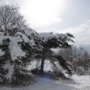 다운목장 이미지