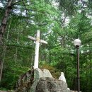 겟세마니동산 이미지