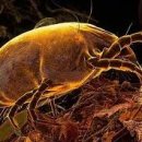 영일크리닝 이미지