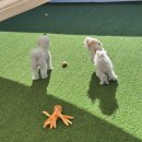 아이멍그라운드 이미지