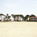 강경산양초등학교 이미지