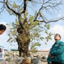 율림경로당 이미지