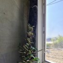 석곡농장 이미지