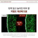 리커버리 이미지