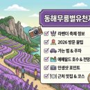 해송향기펜션 | 영덕펜션 예약 전 반드시 체크할 오션뷰 숙소 총정리