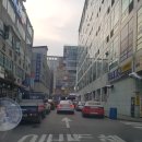 안구건조증 리지안 구 분당밝은안과의원 루테인 지아잔틴