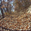 목포대학교골프연습장 | 무안승달산(2008.11.30.)