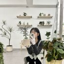 STUDIO202(스튜디오202) | 송파 잠실 화분 플랜트 스튜디오 '소만' 가드닝 원데이 클래스 대만족 후기