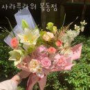 사라유통 이미지