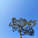 도전보건진료소 이미지