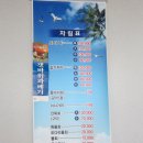 돌고래식당 이미지