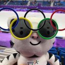 평창 올림픽~ 슬라이딩, 설상, 빙상, 차이는 뭐?! 이미지