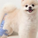 연은동물병원 이미지