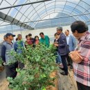 김신중농장 이미지