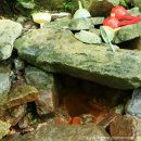 개인약수 이미지