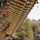 창원 성흥사 목조아미타여래삼존좌상 Daum카페