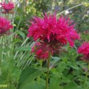 초연공원 이미지