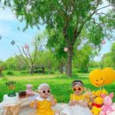스튜디오피크닉